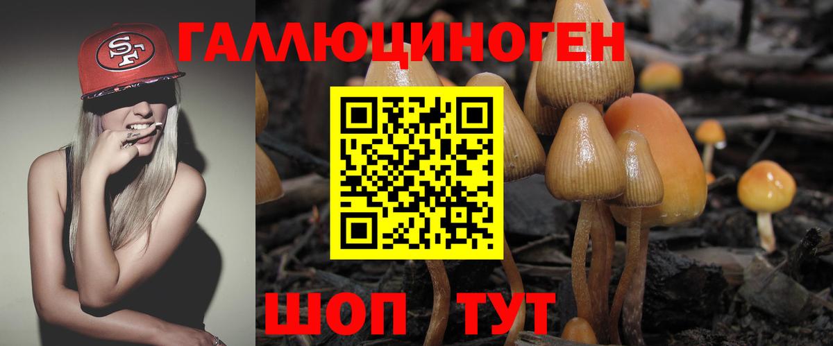 Псилоцибиновые грибы Magic Shrooms Майкоп